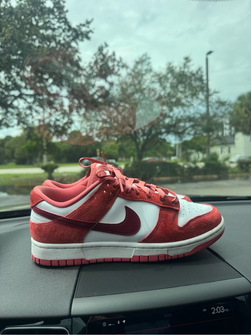 Nike Women’s Red and White Low-Top Sneaker